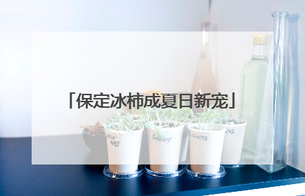 保定冰柿成夏日新宠