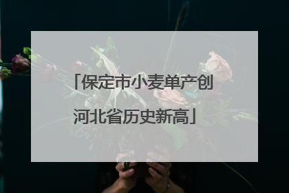 保定市小麦单产创河北省历史新高
