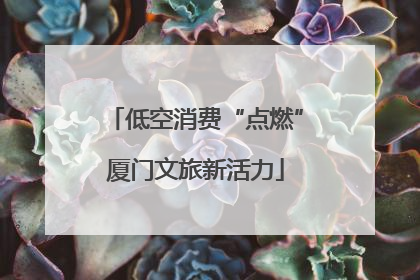 低空消费“点燃”厦门文旅新活力