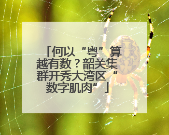 何以“粤”算越有数？韶关集群开秀大湾区“数字肌肉”