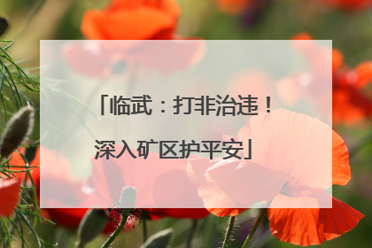 临武：打非治违！深入矿区护平安