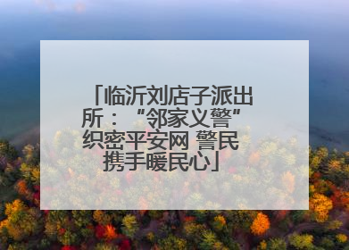 临沂刘店子派出所：“邻家义警”织密平安网 警民携手暖民心