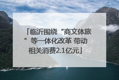 临沂围绕“商文体旅”等一体化改革 带动相关消费2.1亿元