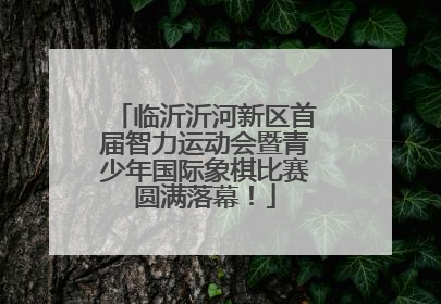 临沂沂河新区首届智力运动会暨青少年国际象棋比赛圆满落幕！