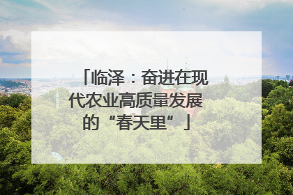 临泽：奋进在现代农业高质量发展的“春天里”