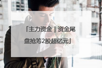 主力资金｜资金尾盘抢筹2股超亿元