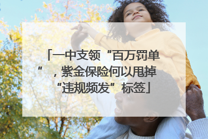 一中支领“百万罚单”，紫金保险何以甩掉“违规频发”标签