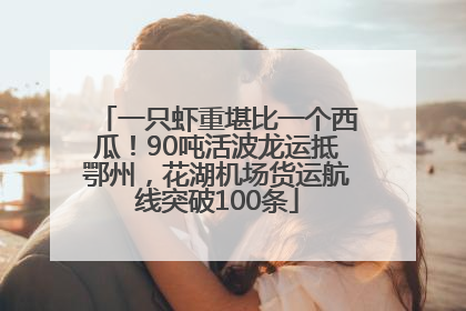 一只虾重堪比一个西瓜！90吨活波龙运抵鄂州，花湖机场货运航线突破100条