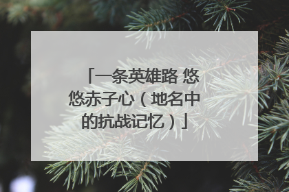 一条英雄路 悠悠赤子心（地名中的抗战记忆）