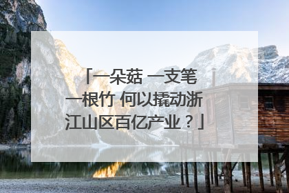一朵菇 一支笔 一根竹 何以撬动浙江山区百亿产业？