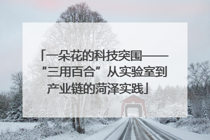 一朵花的科技突围——“三用百合”从实验室到产业链的菏泽实践