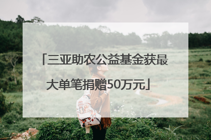 三亚助农公益基金获最大单笔捐赠50万元