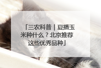 三农科普｜夏播玉米种什么？北京推荐这些优秀品种