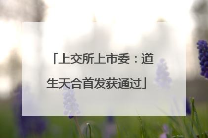 上交所上市委：道生天合首发获通过
