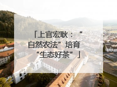 上官宏耿：“自然农法”培育“生态好茶”