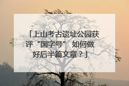 上山考古遗址公园获评“国字号” 如何做好后半篇文章？