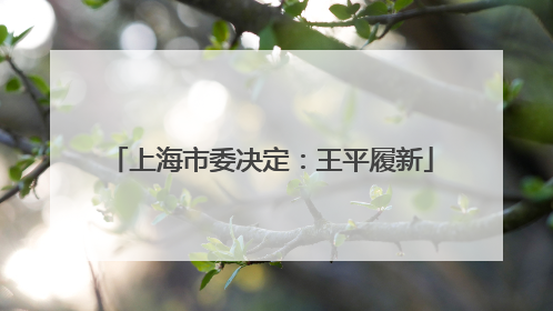 上海市委决定：王平履新
