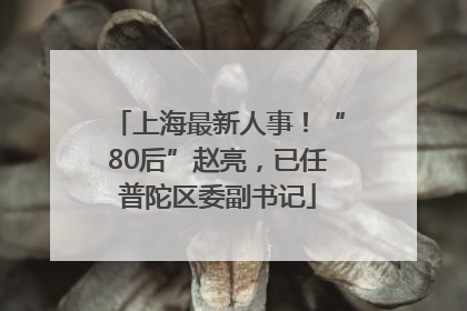上海最新人事！“80后”赵亮，已任普陀区委副书记