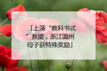 上演“教科书式”救援，浙江温州母子获特殊奖励