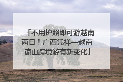 不用护照即可游越南两日！广西凭祥—越南谅山跨境游有新变化