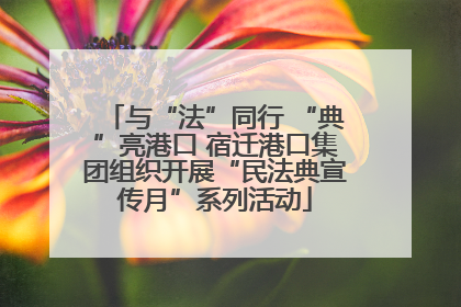 与“法”同行 “典”亮港口 宿迁港口集团组织开展“民法典宣传月”系列活动