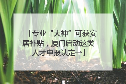 专业“大神”可获安居补贴，厦门启动这类人才申报认定→