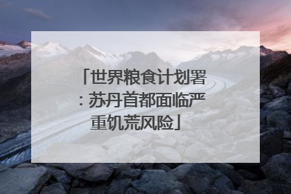 世界粮食计划署：苏丹首都面临严重饥荒风险