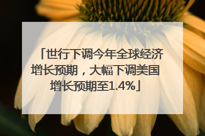 世行下调今年全球经济增长预期，大幅下调美国增长预期至1.4%