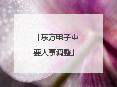 东方电子重要人事调整