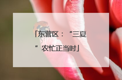 东营区：“三夏”农忙正当时