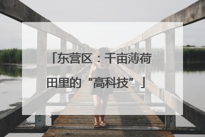 东营区：千亩薄荷田里的“高科技”