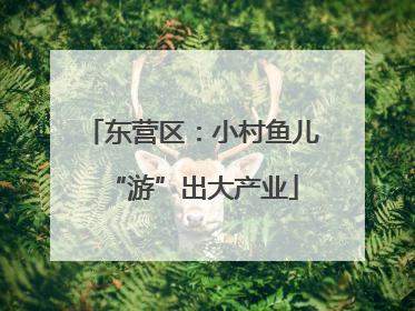 东营区：小村鱼儿“游”出大产业