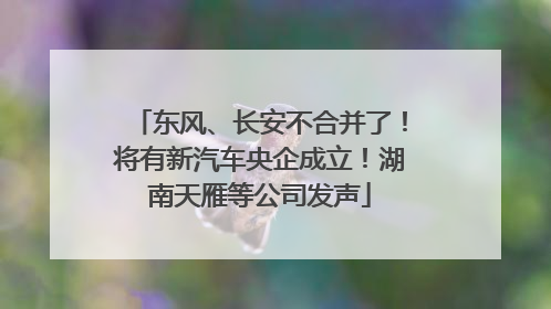 东风、长安不合并了！将有新汽车央企成立！湖南天雁等公司发声
