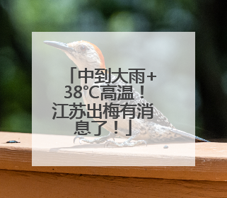 中到大雨+38℃高温！江苏出梅有消息了！