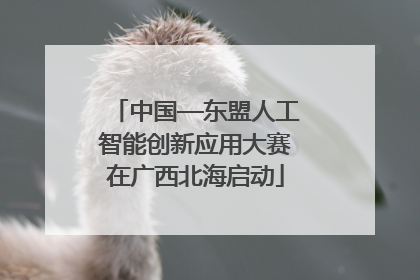 中国—东盟人工智能创新应用大赛在广西北海启动