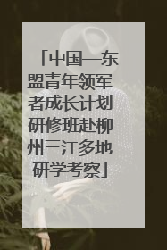 中国—东盟青年领军者成长计划研修班赴柳州三江多地研学考察