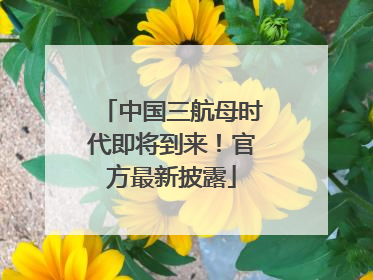 中国三航母时代即将到来！官方最新披露