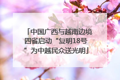 中国广西与越南边境四省启动“复明18号”为中越民众送光明