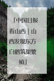 中国日报看山西｜山西发现东方白鹳筑巢繁殖