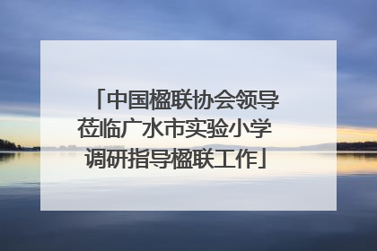 中国楹联协会领导莅临广水市实验小学调研指导楹联工作