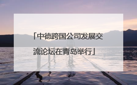 中德跨国公司发展交流论坛在青岛举行