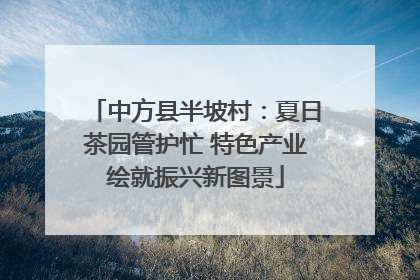 中方县半坡村：夏日茶园管护忙 特色产业绘就振兴新图景