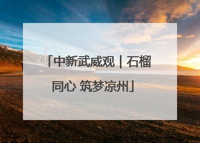 中新武威观｜石榴同心 筑梦凉州