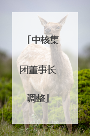 中核集团董事长调整