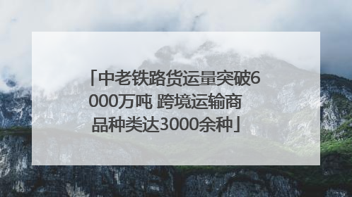 中老铁路货运量突破6000万吨 跨境运输商品种类达3000余种