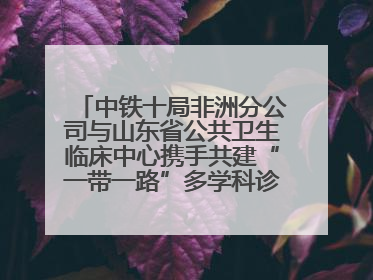 中铁十局非洲分公司与山东省公共卫生临床中心携手共建“一带一路”多学科诊疗协作网