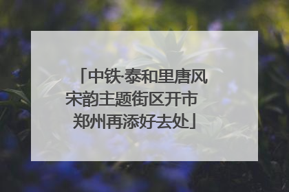 中铁·泰和里唐风宋韵主题街区开市 郑州再添好去处