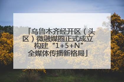 乌鲁木齐经开区（头区）微融媒圈正式成立 构建“1+5+N”全媒体传播新格局