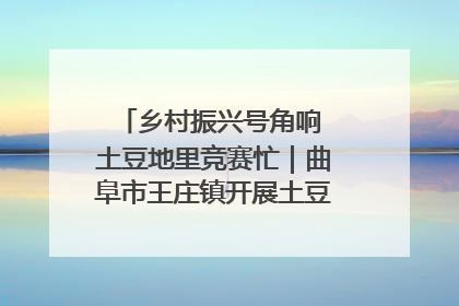 乡村振兴号角响 土豆地里竞赛忙｜曲阜市王庄镇开展土豆收获劳动竞赛