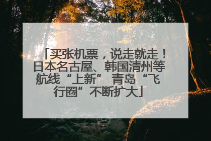 买张机票，说走就走！日本名古屋、韩国清州等航线“上新” 青岛“飞行圈”不断扩大